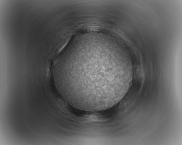 X0000089670655200707051549