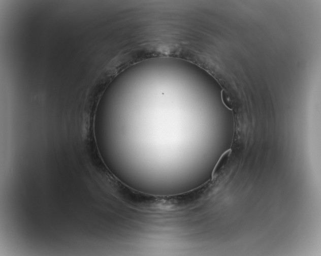 X0000089670656200707051549