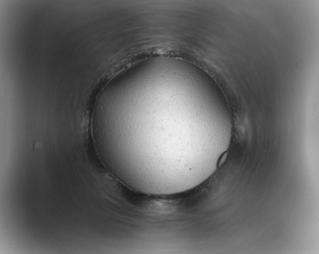 X0000089670657200707051549