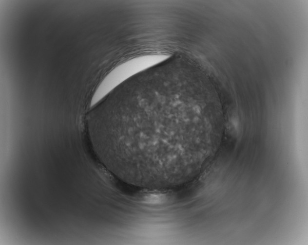 X0000089670658200707051549