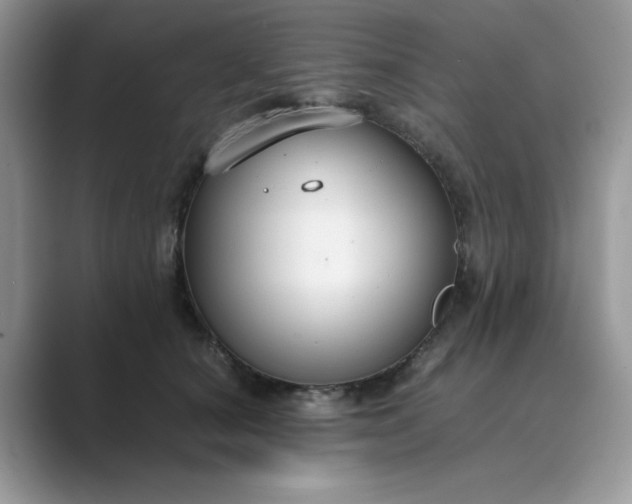 X0000089670660200707051549