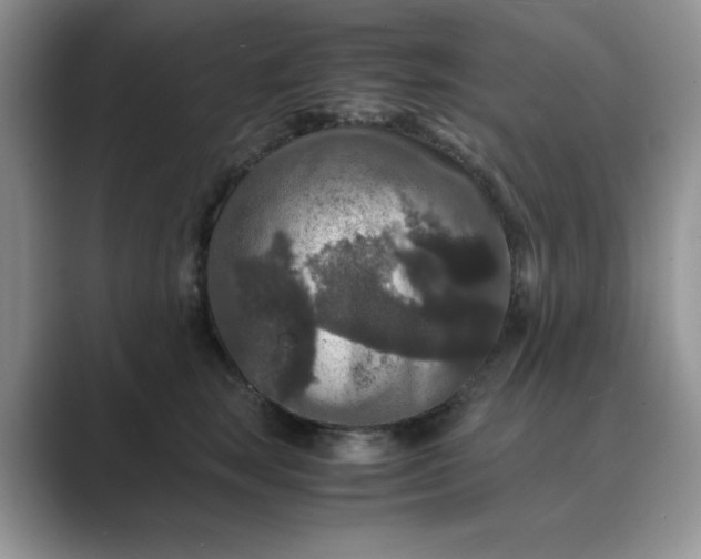 X0000089670663200707051549