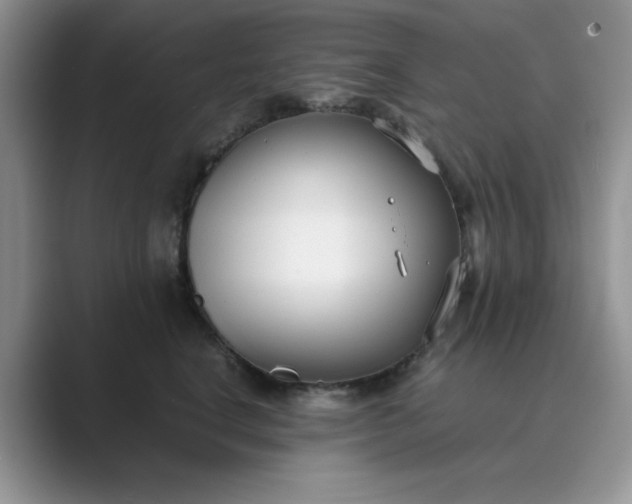 X0000089670664200707051549