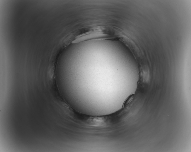 X0000089670665200707051549