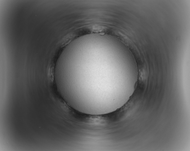 X0000089670666200707051549