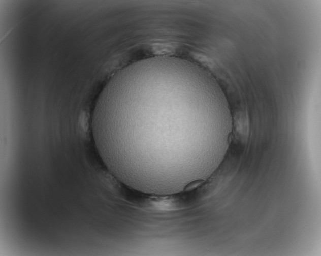 X0000089670667200707051549