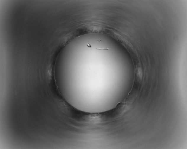 X0000089670668200707051549
