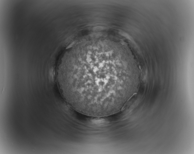 X0000089670669200707051549