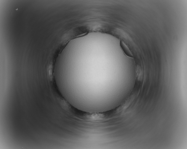 X0000089670670200707051549