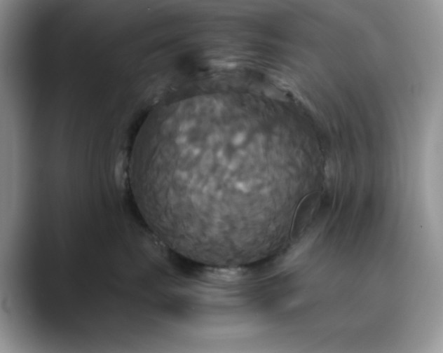 X0000089670671200707051549