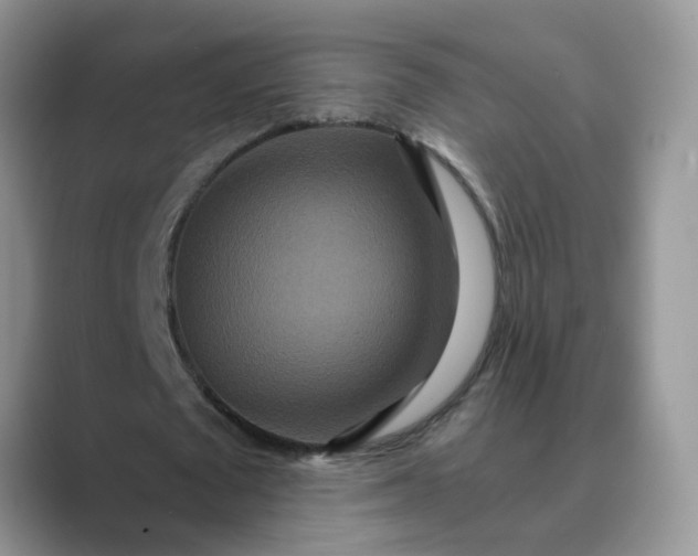 X0000089670673200707051549