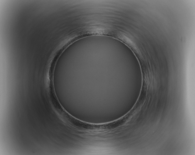 X0000089670674200707051549