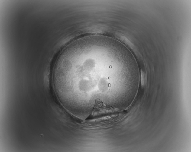 X0000089670675200707051549