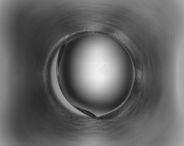 X0000089670676200707051549