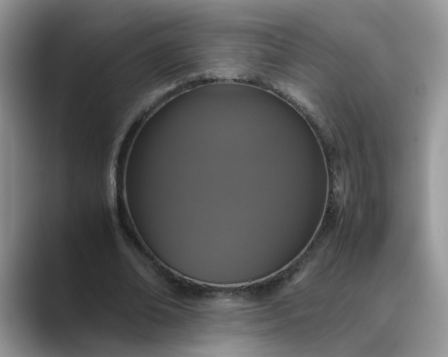 X0000089670678200707051549