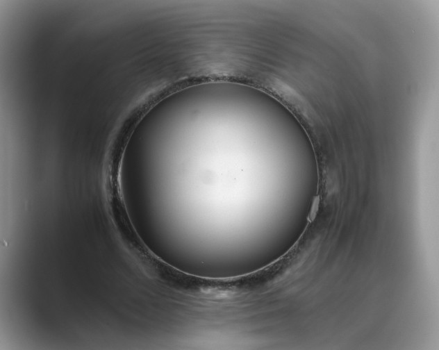 X0000089670680200707051549