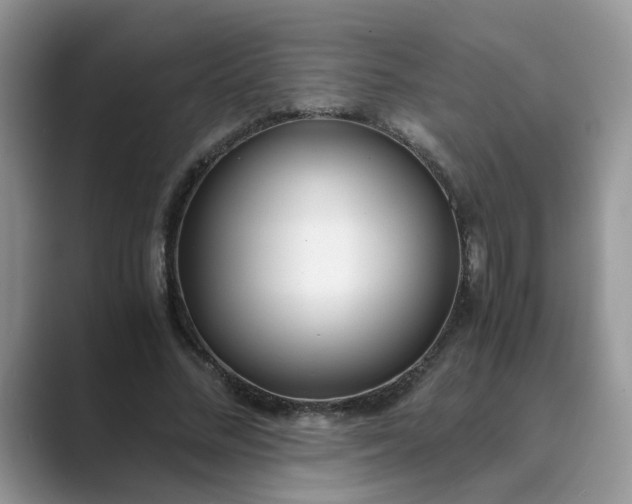 X0000089670684200707051548