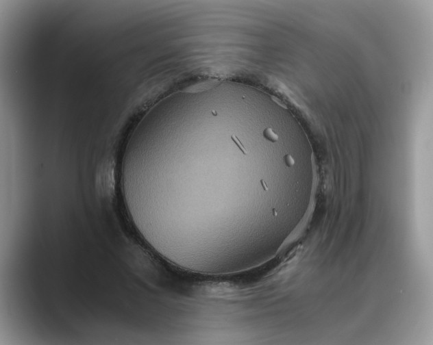 X0000089670685200707051548