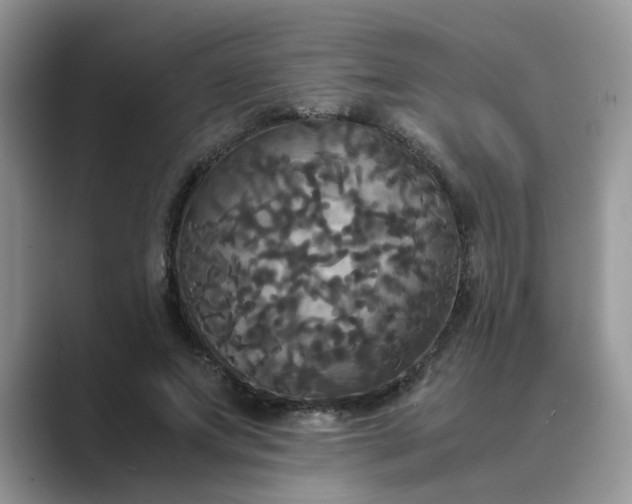 X0000089670687200707051548