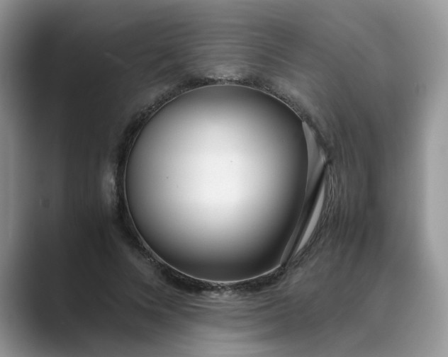 X0000089670688200707051548