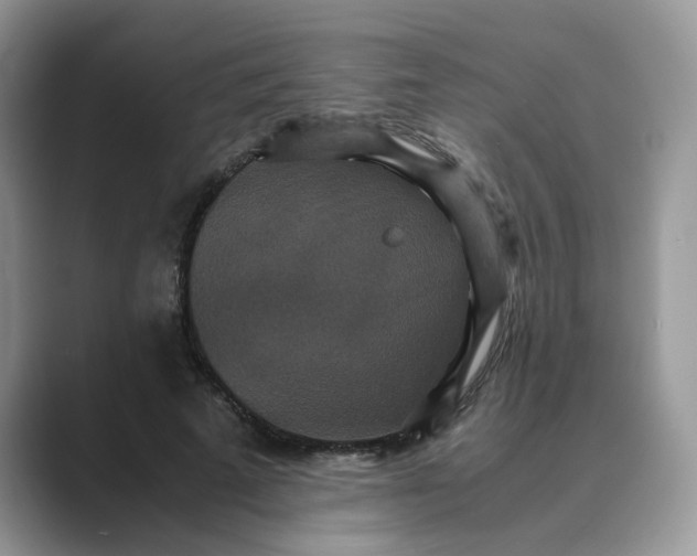 X0000089670689200707051548