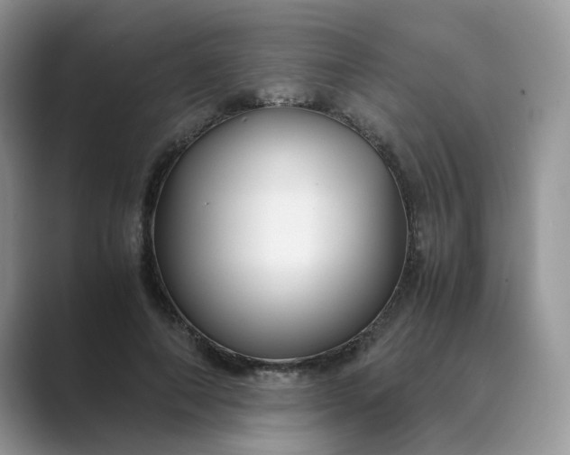 X0000089670690200707051548