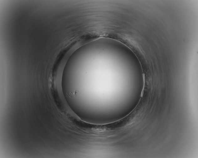 X0000089670693200707051548