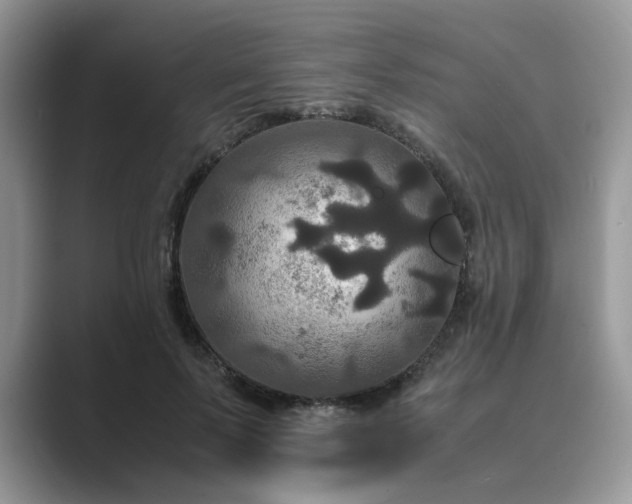 X0000089670695200707051548