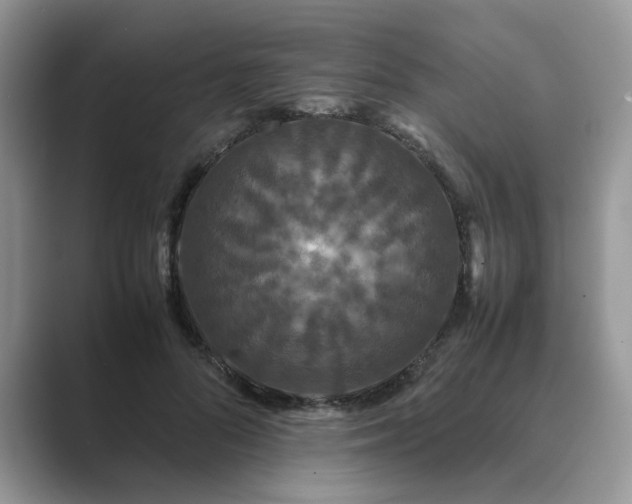 X0000089670696200707051548
