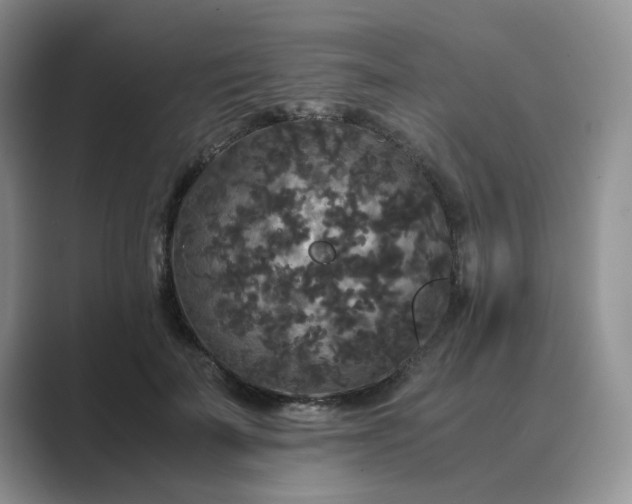 X0000089670699200707051548
