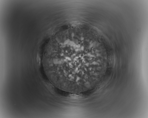 X0000089670703200707051548