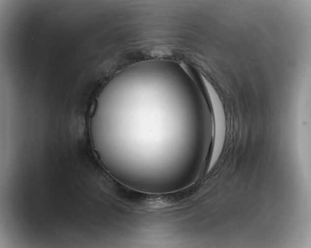 X0000089670704200707051548