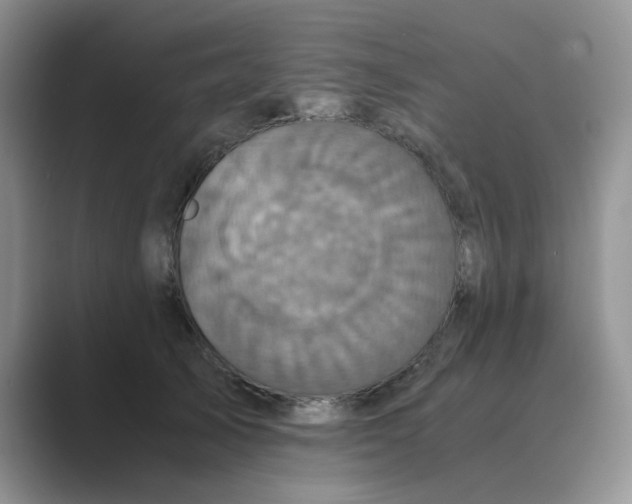 X0000089670705200707051548