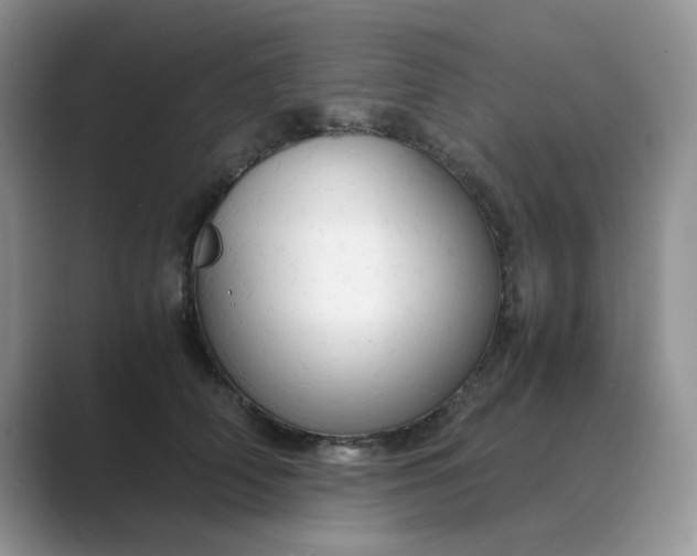 X0000089670706200707051548