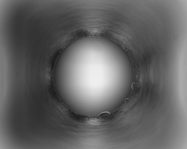 X0000089670710200707051548