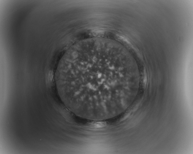 X0000089670711200707051548