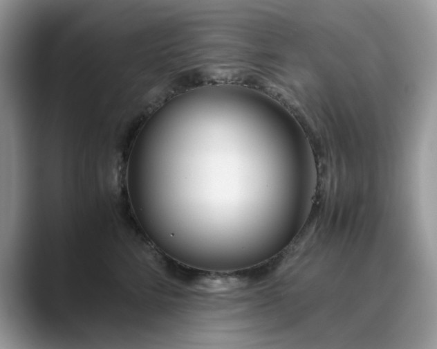 X0000089670712200707051548