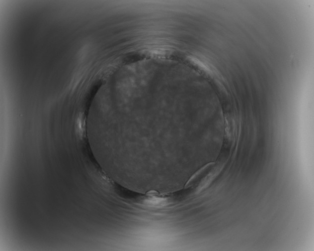 X0000089670718200707051548
