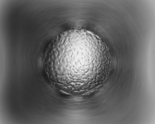 X0000089670719200707051548