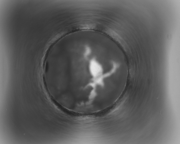 X0000089670721200707051547