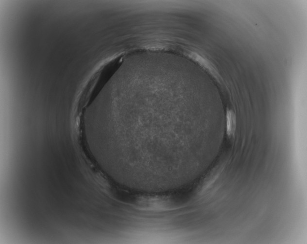 X0000089670723200707051547
