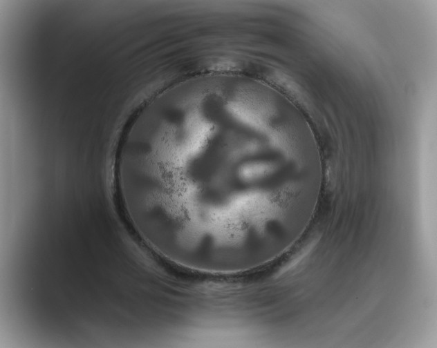 X0000089670725200707051548