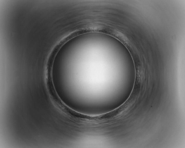 X0000089670726200707051548