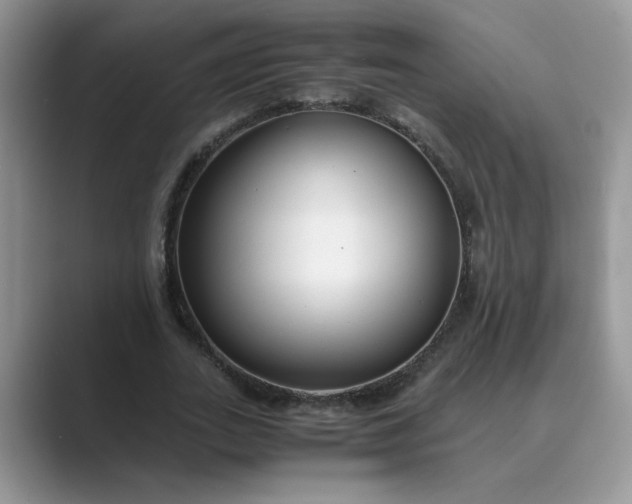 X0000089670727200707051548