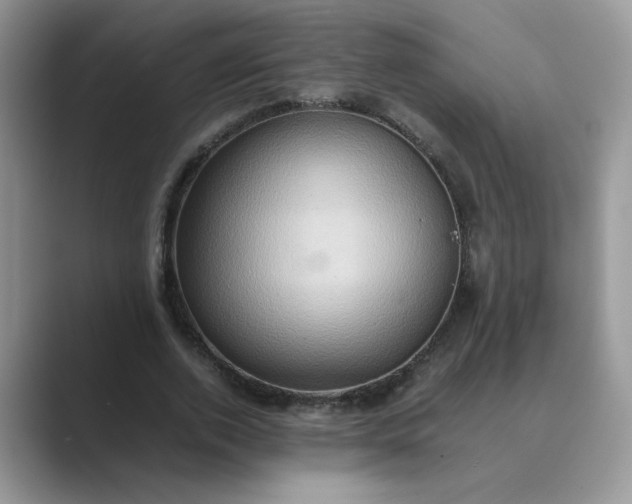 X0000089670728200707051548