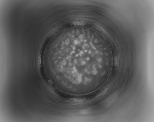 X0000089670733200707051548