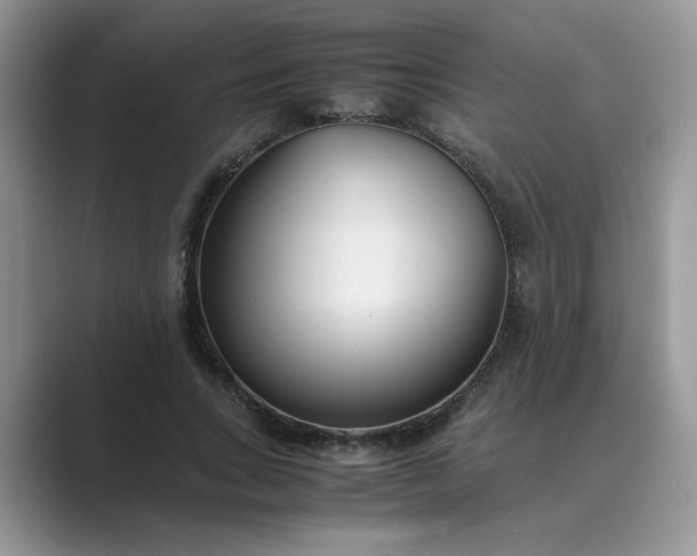 X0000089670735200707051548
