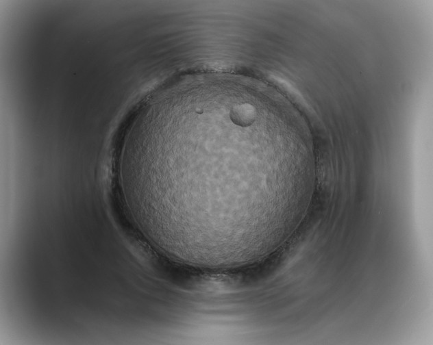X0000089670736200707051548