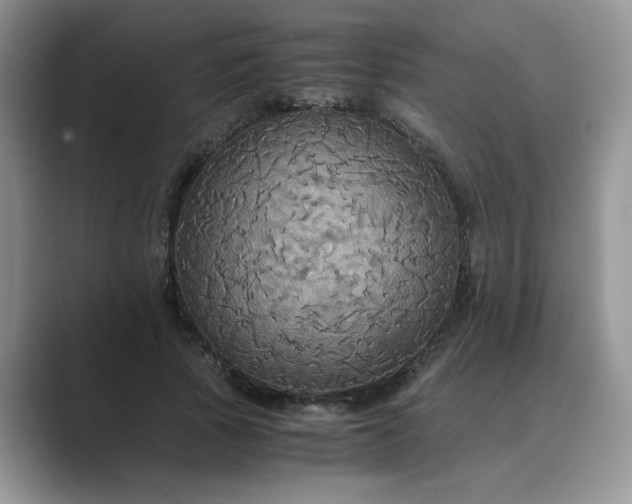 X0000089670737200707051548