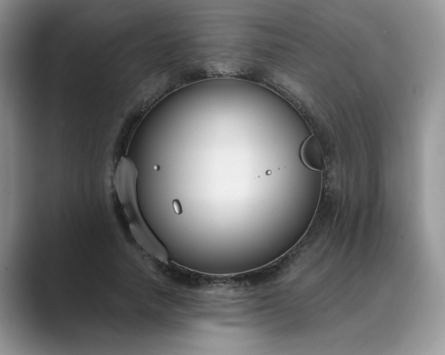 X0000089670738200707051548